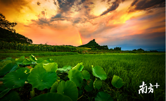 巾峰綠海。成堅(jiān)強(qiáng) 攝