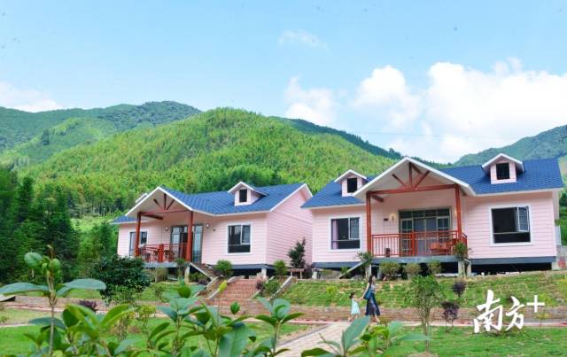 特色民宿。黃津 攝