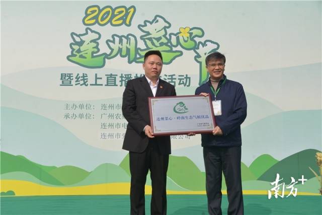 連州菜心獲評“嶺南生態(tài)氣候優(yōu)品”，廣東省氣象局一級巡視員、省氣象學會理事長梁建茵為連州菜心授牌。張曉欣 攝