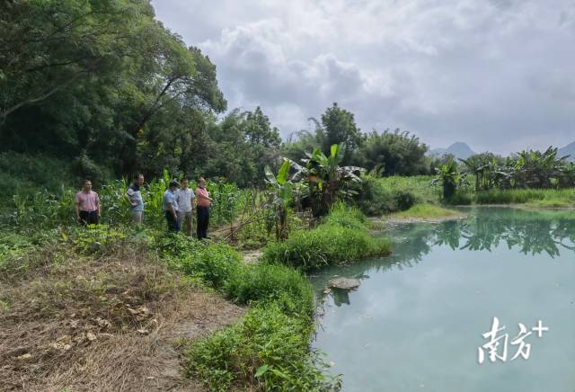 實地調(diào)研。