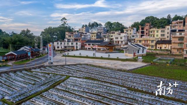 四聯(lián)鄉(xiāng)村振興綜合示范片。