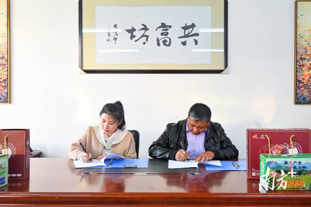 企業(yè)采購(gòu)意向簽約儀式。張曉欣 攝