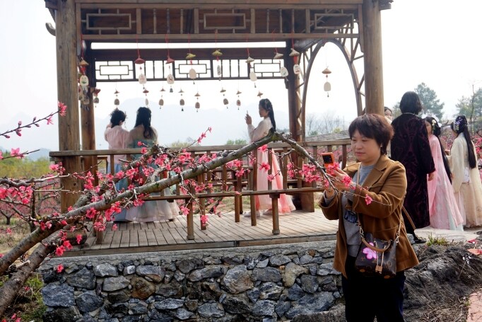 桃花節(jié)在九陂鎮(zhèn)開幕，迎來(lái)八方游客。清遠(yuǎn)日?qǐng)?bào)記者 周璐攝。