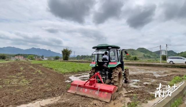 農(nóng)機員正在耕地。