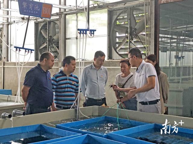 在畔水漁晟園了解特色產(chǎn)業(yè)發(fā)展情況。