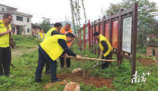眾人齊心合力種樹。