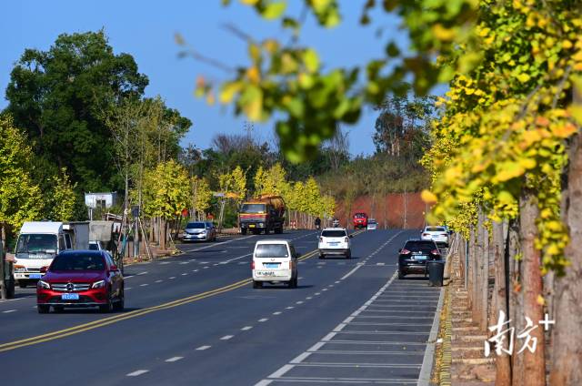 連州近5年累計(jì)投入20億元優(yōu)化升級交通設(shè)施。黃津 攝