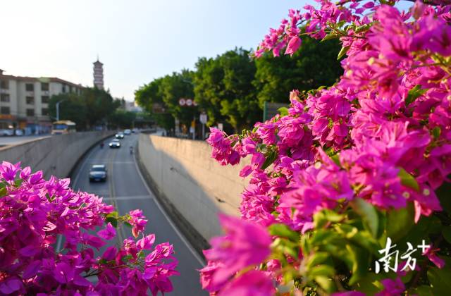 連州織就一張“外聯(lián)內(nèi)暢、城鄉(xiāng)融合”的立體交通藍(lán)圖。黃津 攝