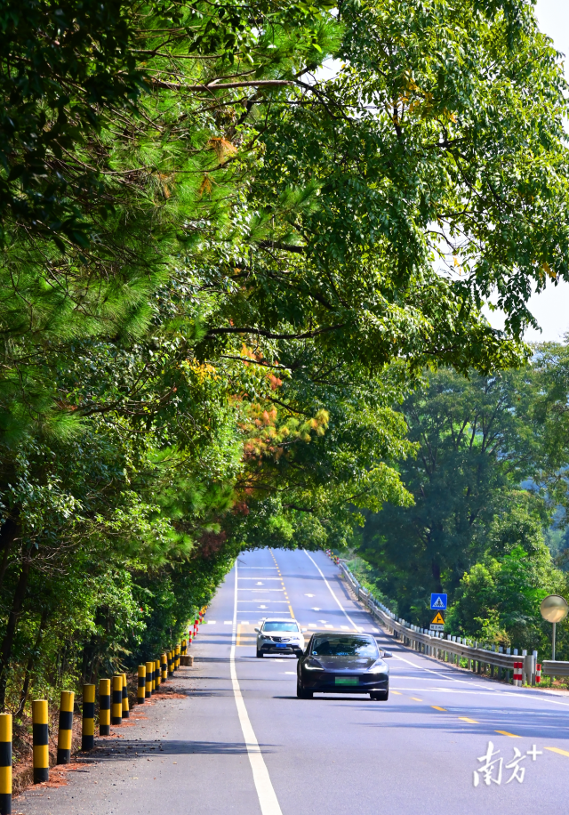 連州“四好農(nóng)村路”省級示范縣創(chuàng)建考核總分排全省第二。黃津 攝